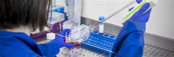 Exploring the Fascination of "Telegram Real Mom": A Comprehensive Guide