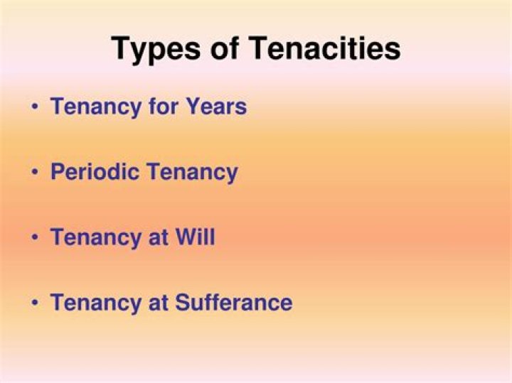 Unleashing the Power of Tenacity: A Comprehensive Guide to Building Resilience and Success