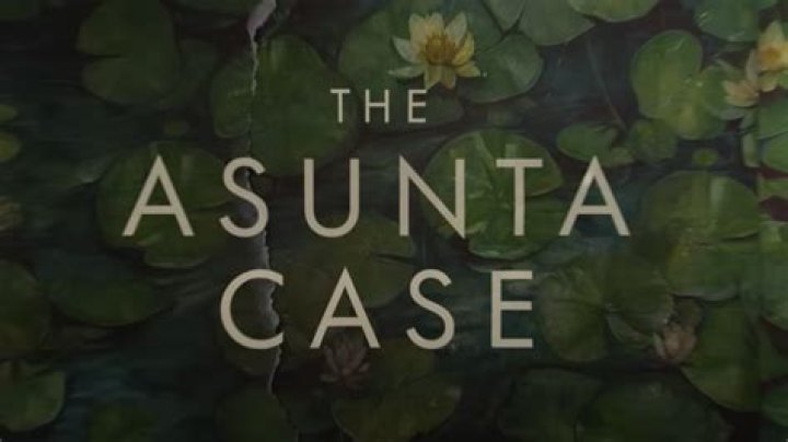 The Asunta Case: What Happened - A Comprehensive Analysis
