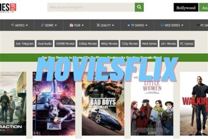 The Ultimate Guide to MoviesFlix.com: Your Go-To Source for Movies and TV Shows