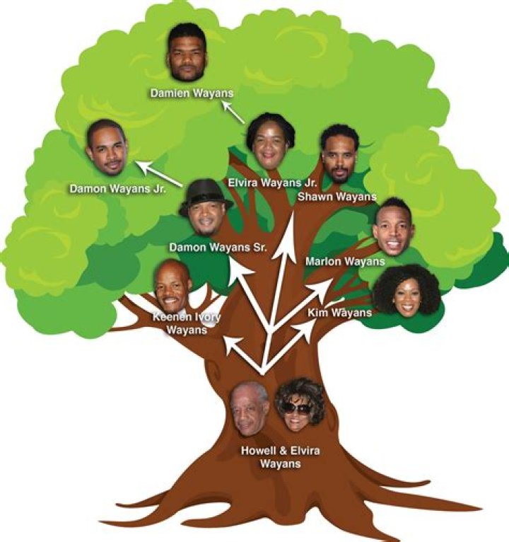 The Intricate Web of the Wayans Family Tree