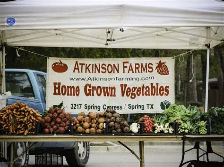 Discovering the Charm of the Woodlands Farmer's Market
