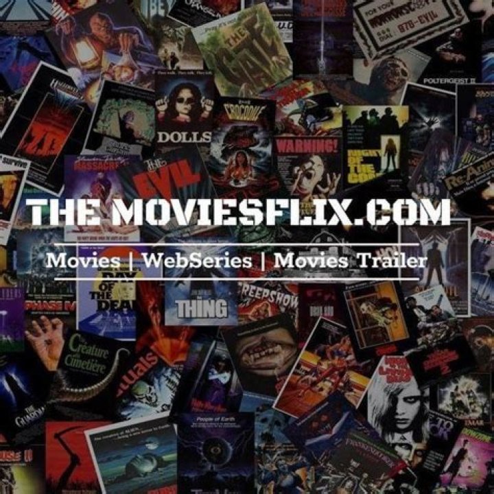 The Ultimate Guide to TheMoviesFlix.in.net: Your Gateway to Movies and Shows