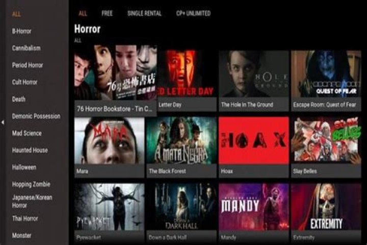 The Ultimate Guide to TheMoviesFlix.in: Your Gateway to Endless Entertainment