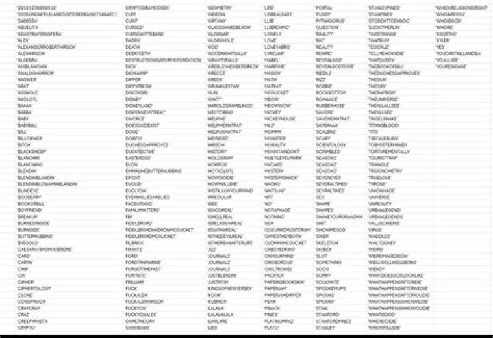 This Is Not a Website: Understanding the Enigma of ThisIsNotAWebsiteDotCom