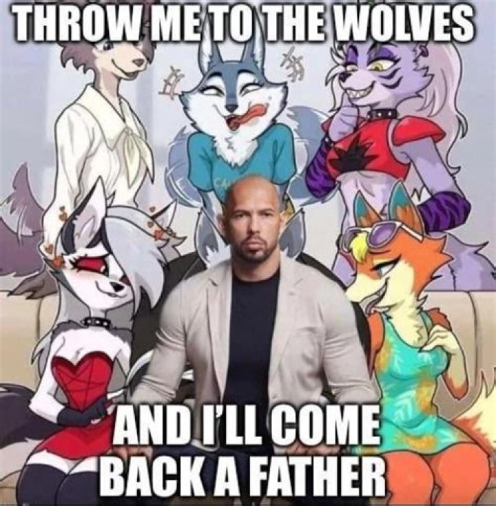 Throw Me to the Wolves Meme: A Deep Dive into Its Origins and Impact