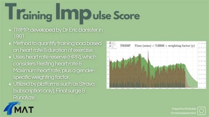 Understanding Trimp: The Ultimate Guide to This Revolutionary Concept