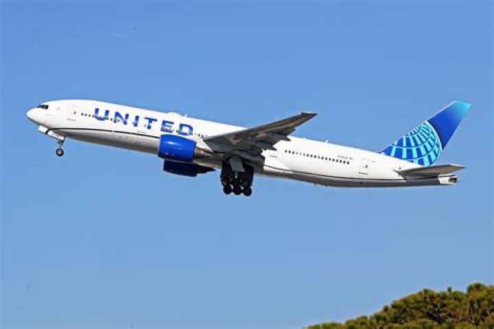 When Air Travel Turns Chaotic: The United Passenger Bites Flight Attendant Incident