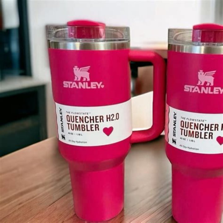 Valentines Stanley: A Comprehensive Exploration of His Life and Legacy