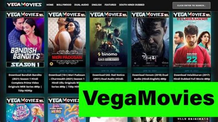 The Vegamovies Team: Your Ultimate Guide to Entertainment