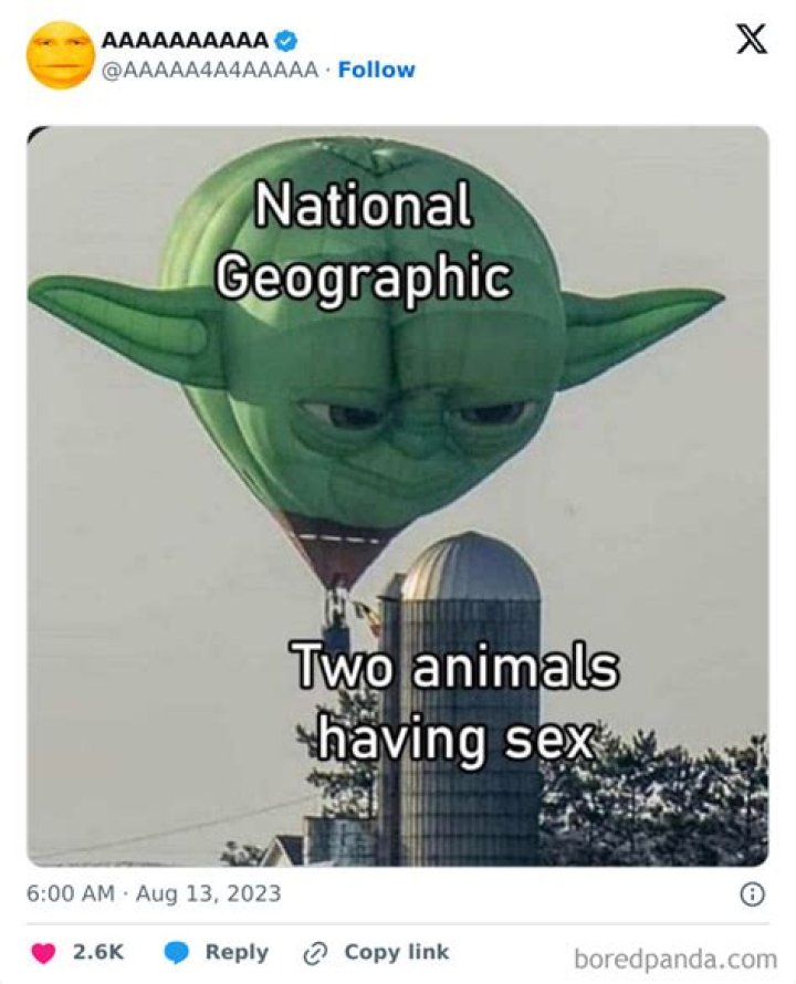 Very Cursed Memes: The Dark Side of Internet Humor