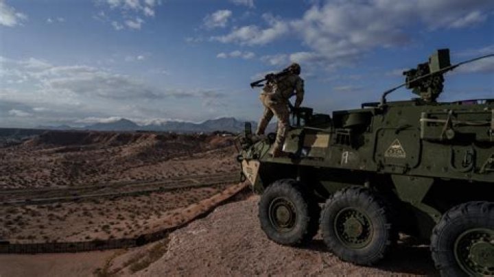 Vineyard Chase: Breaking News on Major Drug Bust