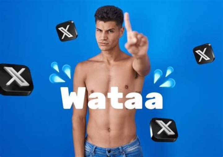 Discover the Versatility of Wataa: A Comprehensive Guide