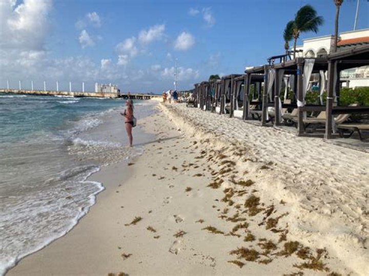 Comprehensive Guide to Weather in Playa del Carmen in July