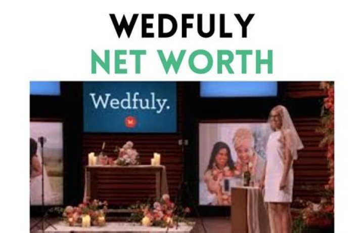 Wedfuly Net Worth 2024: A Comprehensive Analysis of Growth and Impact