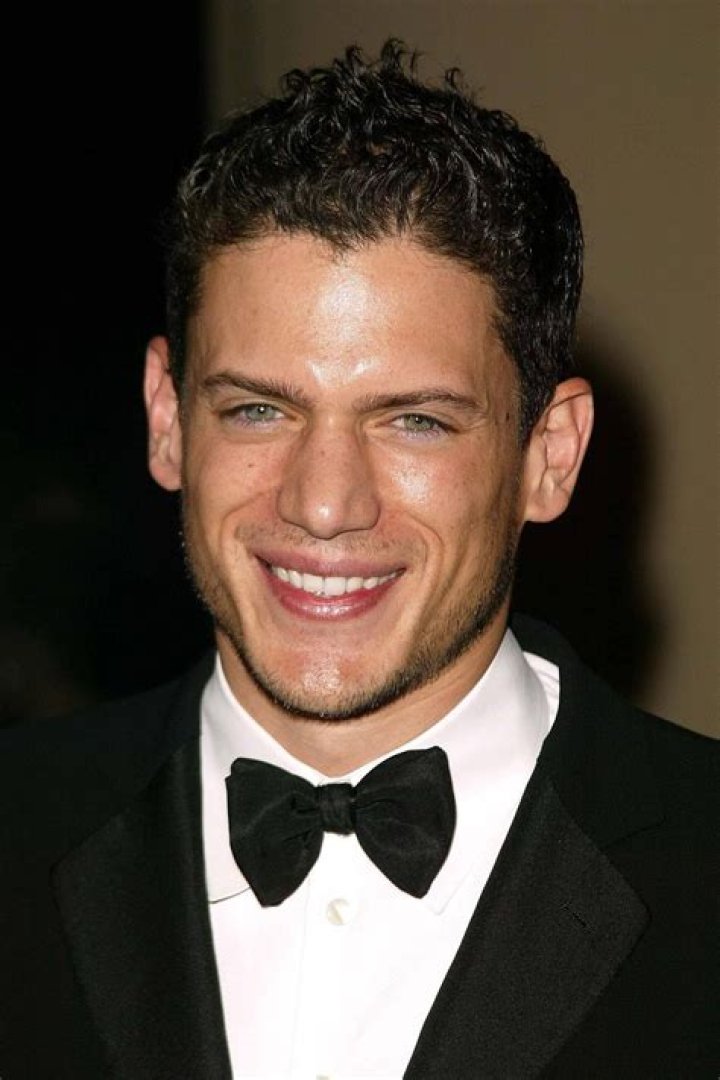 The Unparalleled Wentworth Miller: An Icon in Acting and Advocacy