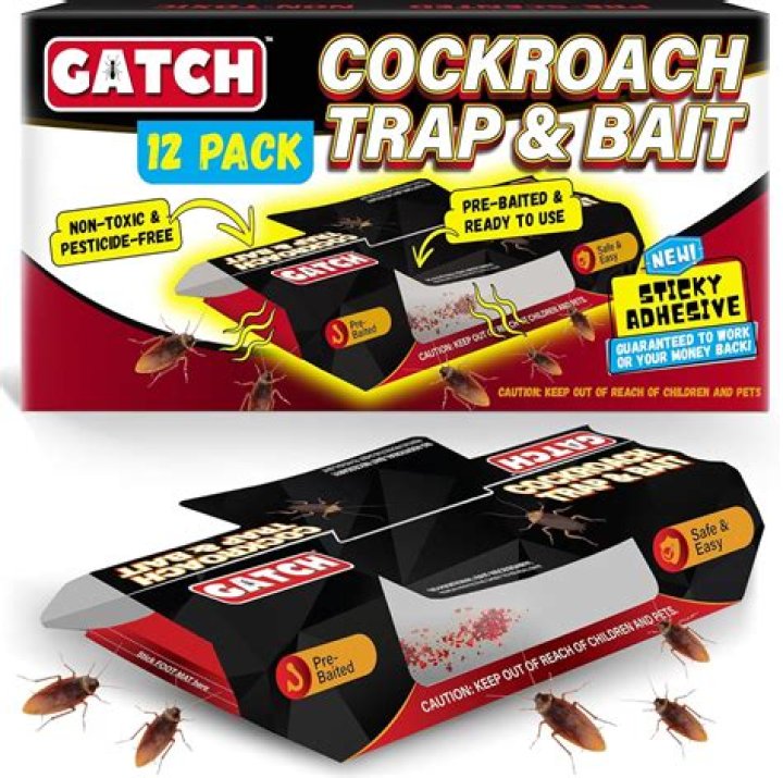 What's the Best Roach Killer? Ultimate Guide to Eradicating Cockroaches
