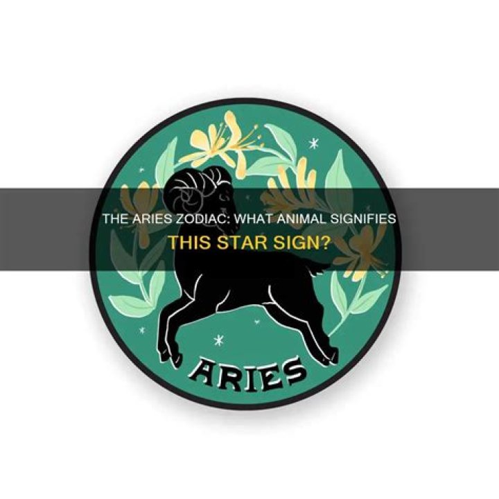Discovering the Animal Representation of the Aries Zodiac Sign