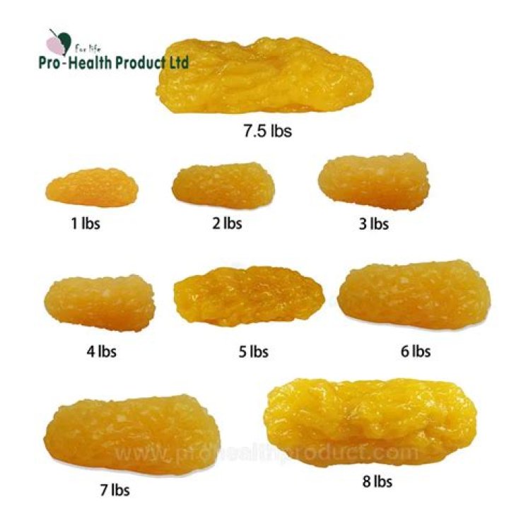 Understanding the Visual Representation of 2lb of Fat