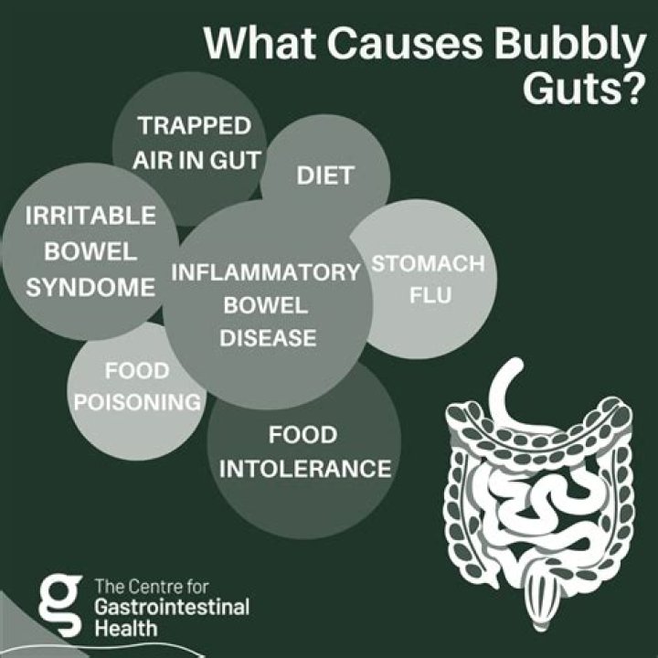 What Does Bubble Guts Mean? A Comprehensive Guide to Understanding the Term