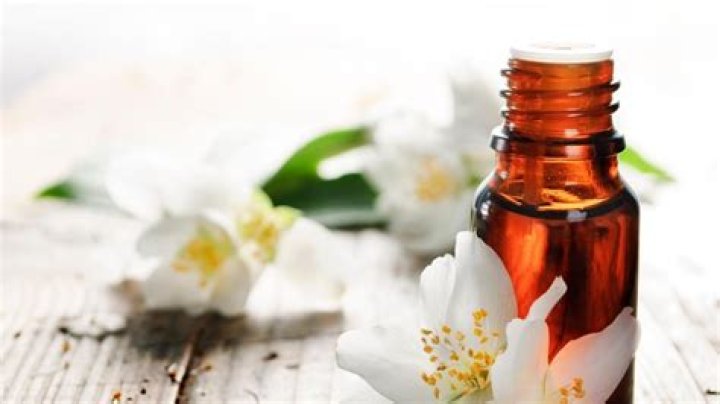 What Does Jasmine Smell Like? Discover the Alluring Aroma of Jasmine