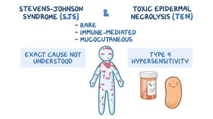 Unveiling the Life of Steven Tyler's Son: What Does He Do?