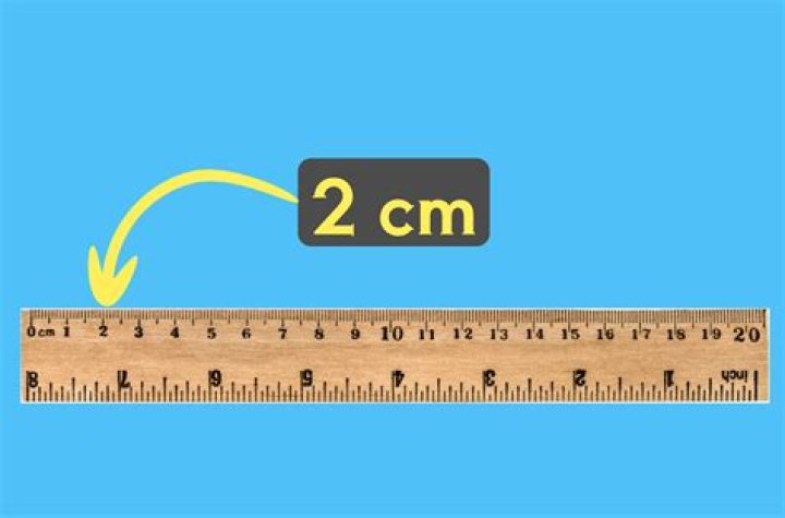 What is 2 cm? A Comprehensive Guide to Understanding Centimeters