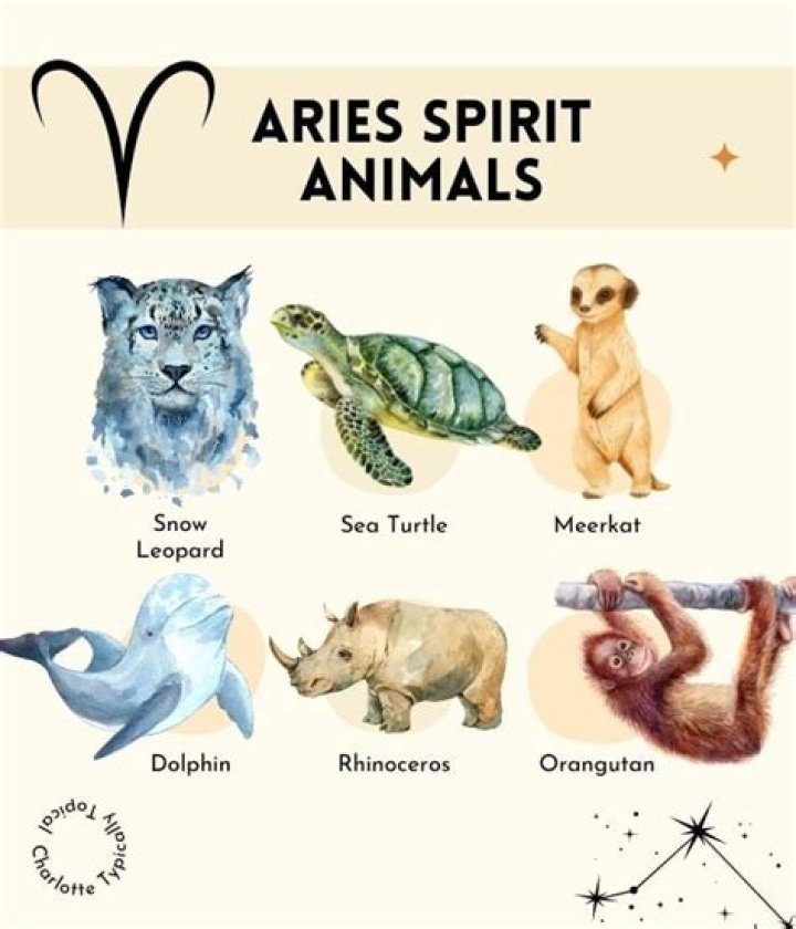 Discovering the Aries Spirit Animal: A Journey into the Zodiac