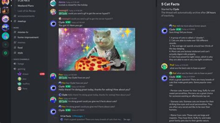 What is a Discord Kitty: A Comprehensive Guide to Understanding the Trend