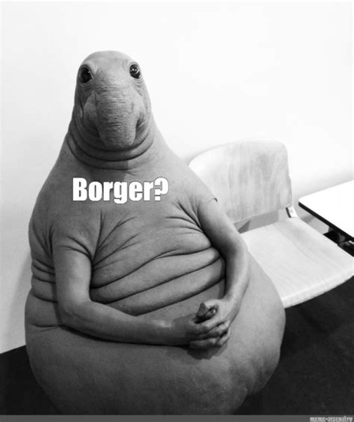 What is Borger? Understanding the Popular Food Trend