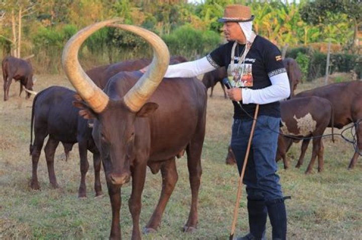 What is Terrence Howard Net Worth? A Comprehensive Guide to His Wealth and Career