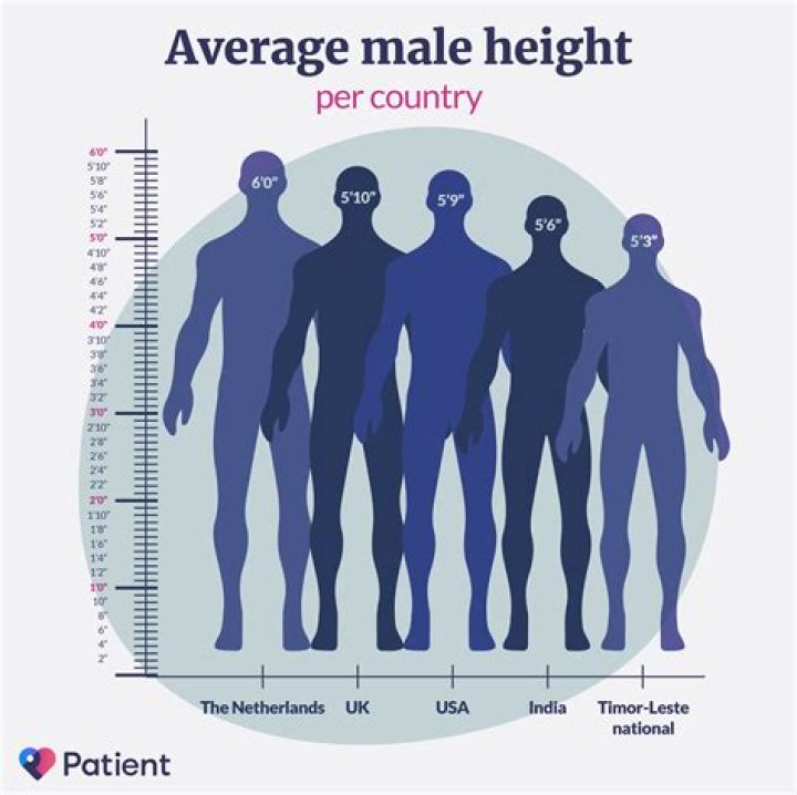 Average Height of a US Woman: Comprehensive Guide and Statistics