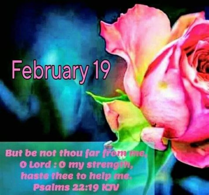 What Is The Sign For February 19th? Discover Your Zodiac Influence