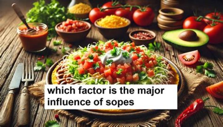Which Factor is the Major Influence of Tacos: A Comprehensive Guide