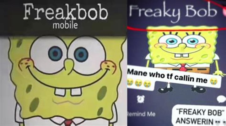 Who is FreakBob? Discover the Rise of a Digital Sensation