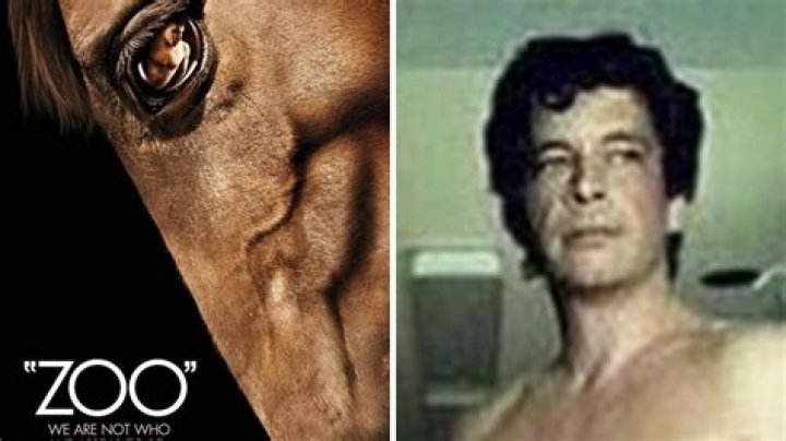 Unraveling the Mystery of Mr. Hands