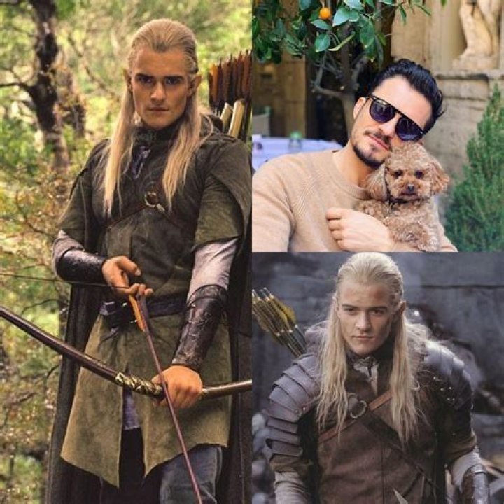 Unveiling the Icon: Who Played Legolas in The Lord of the Rings?
