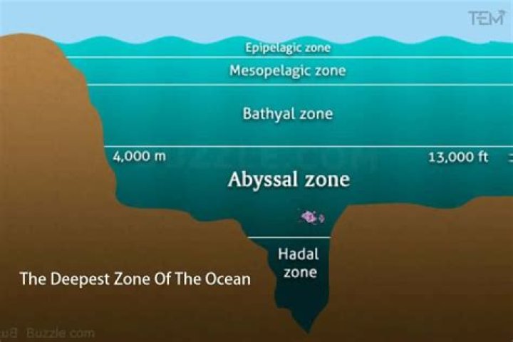 Why Did NASA Stop Exploring the Ocean?