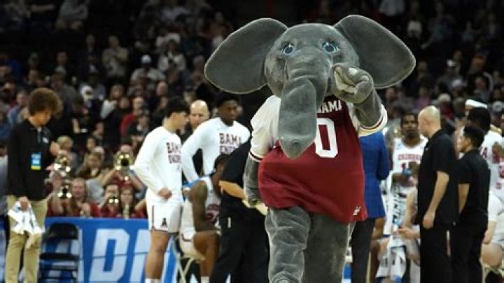 Why is the Mascot of Alabama an Elephant?