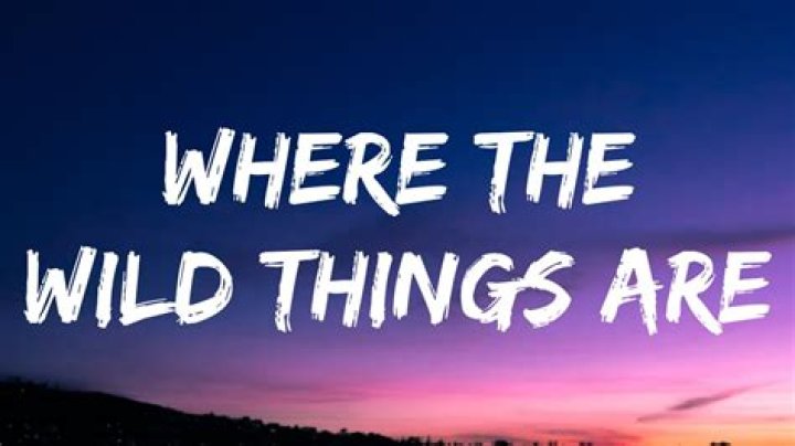 Wild Things Are Lyrics: A Deep Dive Into the Meaning and Impact