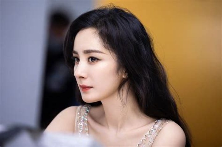 Exploring the Wonders of Yang Mi: A Comprehensive Guide