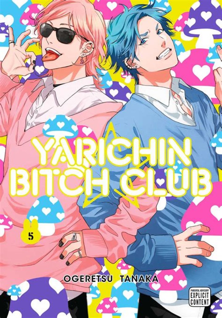 Unveiling the Mystique of the Yarichin Bitch Club