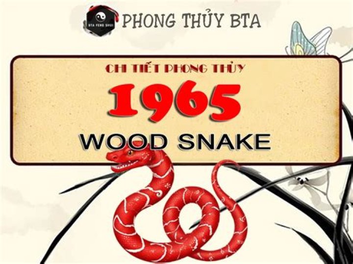 Year of the Snake 1965: Unveiling the Mystique and Influence