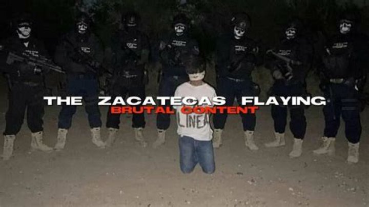 Zacatecas Flying: An Ultimate Guide to the Adventure of a Lifetime