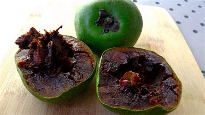 Zapote Negro: The Exotic Fruit You Need to Try
