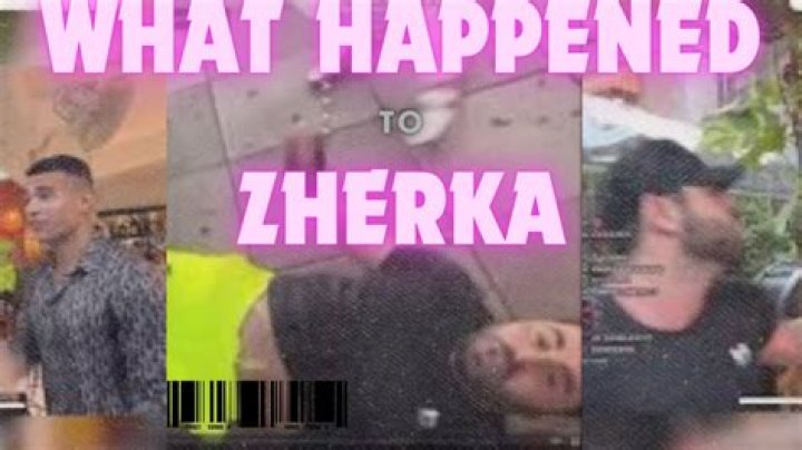Zherka Fight: The Rising Star in the MMA Arena