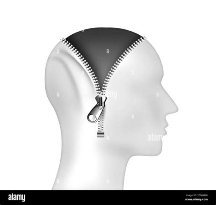 Understanding the Zipperhead Meaning: A Deep Dive