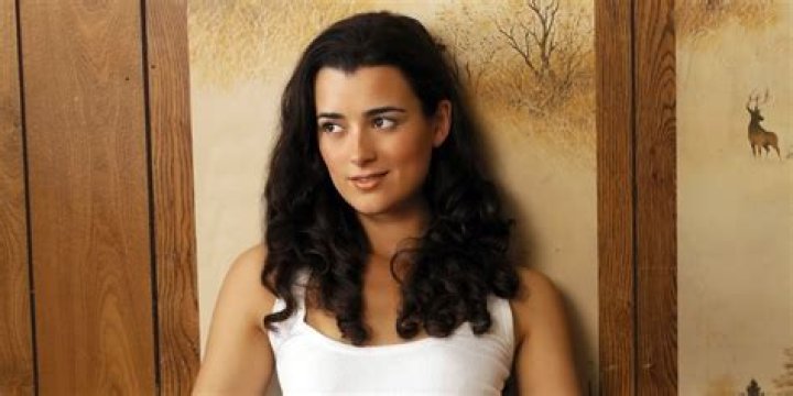 Ziva David on NCIS: Discovering Her Real Name and More