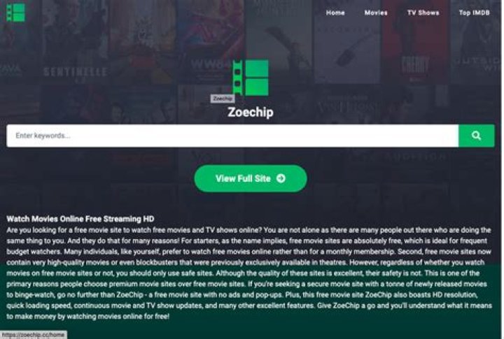 Discovering the World of ZoeChip: A Deep Dive into Innovation